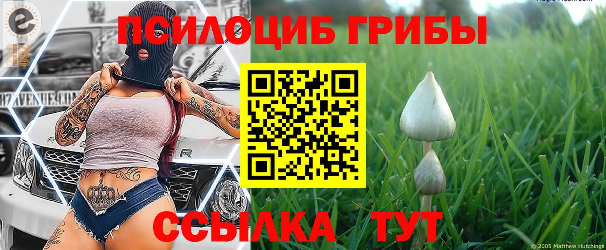Ростов Великий  Псилоцибиновые грибы Cubensis  Вход с VPN 