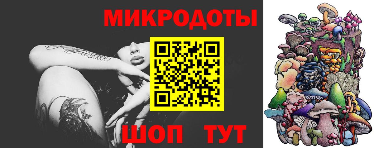 Псилоцибиновые грибы мицелий Ростов Великий